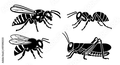 Insect Silhouettes: Wasp, Ant, Bee, and Grasshopper Collection