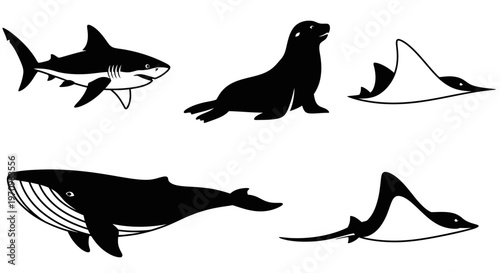 Marine Animal Silhouettes Collection: Shark, Seal, Whale, and Rays Vector Icons