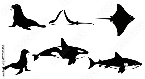 Marine Animals Silhouettes Collection: Orca, Shark, Manta Ray, and Seals