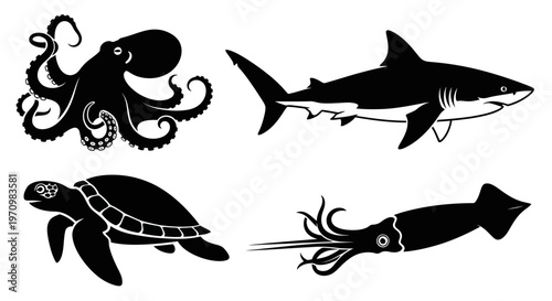 Marine Animals Silhouettes Collection: Octopus, Shark, Sea Turtle, and Squid Icons