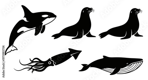 Marine Animals Silhouettes Set: Orca, Seals, Squid, and Whale Ocean Life Icons