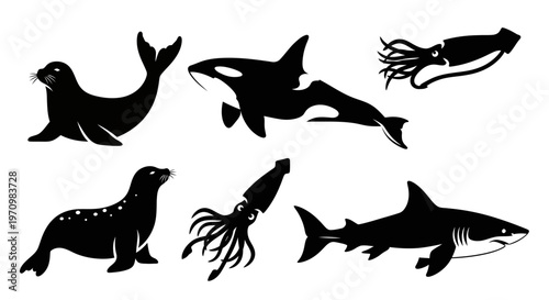 Marine Animals Silhouettes Set: Seal, Orca, Squid, and Shark Collection