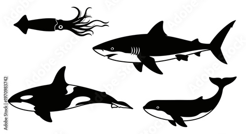 Marine Animals Silhouettes Set: Shark, Orca, Squid, and Whale Black Icons