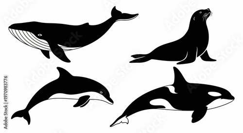 Marine Animals Silhouettes Set: Whale, Dolphin, Orca, Seal Vector Illustration