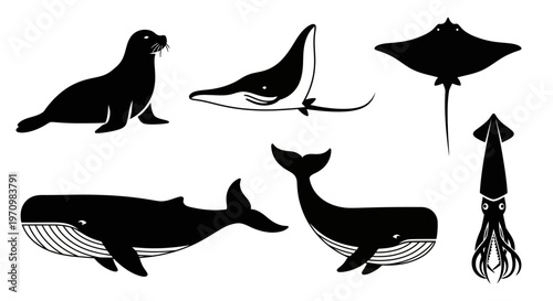 Marine Animals Silhouettes Set: Whale, Seal, Manta Ray, Stingray, and Squid Icons