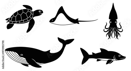 Marine Animals Silhouettes Set: Turtle, Ray, Squid, Whale, Shark Icons