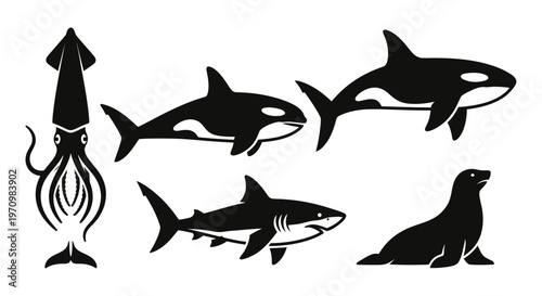 Marine life vector icons set: squid, orcas, shark, and seal silhouettes on white background
