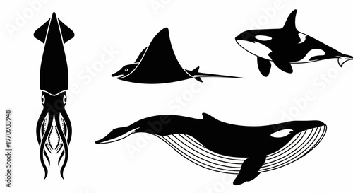 Ocean Creatures Silhouettes Collection: Whale, Orca, Manta Ray, Squid