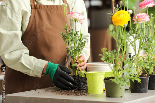 Young woman planting beauti...