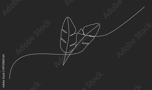 Minimalist Continuous Line Art Drawing of Two Tropical Leaves on Dark Background