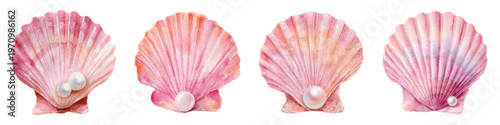 Pink watercolor scallop shells showcasing elegant pearls, offering a soft, artistic rendition of underwater beauty and natural treasures for decorative arts and design elements