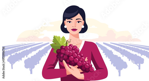 A Woman Harvesting Grapes in a Sunlit Vineyard Field.
