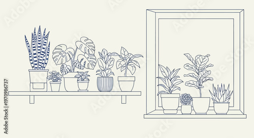 Line Art Illustration of Potted Plants on a Window Sill.
