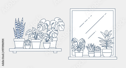 Assorted indoor potted plants on sunny windowsill shelves.