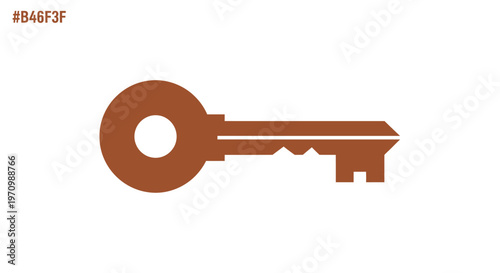 Simple brown key icon on white background