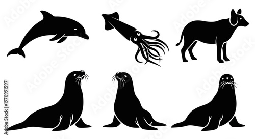 Oceanic Wildlife Silhouettes Vector Set: Dolphin, Squid, and Sea Lions Icons