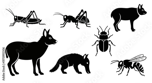 Wildlife and Insect Silhouettes Set - Animal Icons Collection