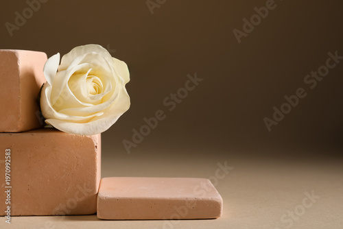 Decorative podiums with bea...