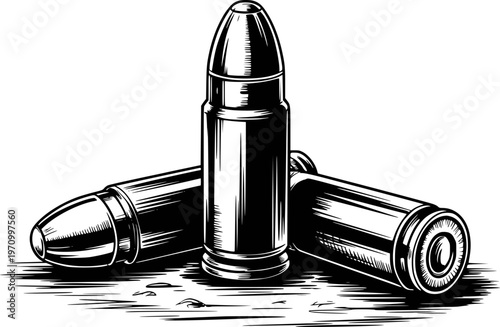 Black and White Bullets Arranged a White Background with Shadow Detail ammunition 1