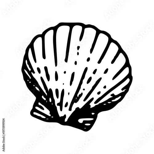 ocean seashell icon graphic for beach time projects