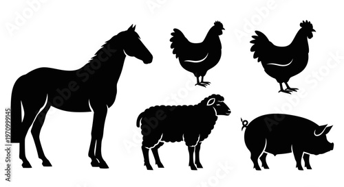 Domestic Livestock Silhouettes Set - Horse, Pig, Sheep, and Chickens