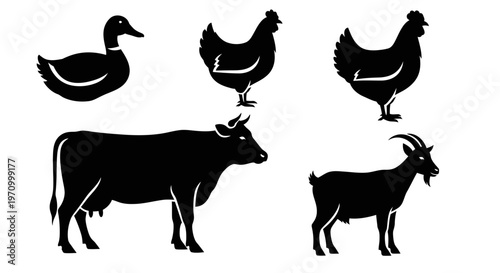 Farm animal silhouettes set: duck, chicken, cow, and goat icons for agriculture and livestock design