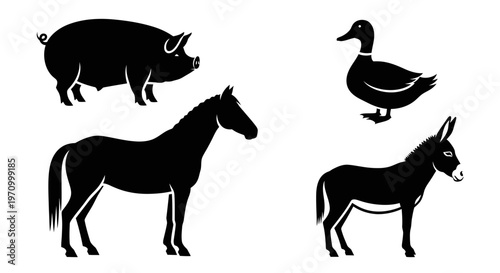 Farm animal silhouettes collection: pig, duck, horse, and donkey icons on white background