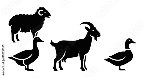 Farm Animals Silhouettes Set - Sheep, Goat, and Ducks Icons