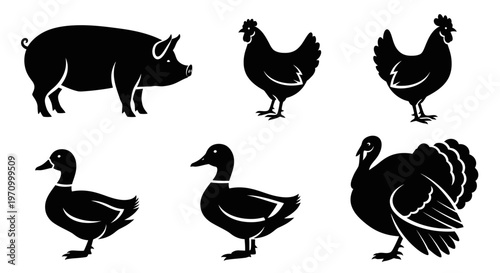 Farm Animals Silhouettes Set: Pig, Chicken, Duck, and Turkey Icons