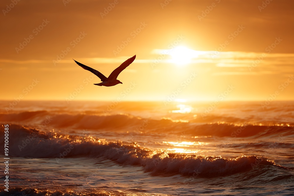Fototapeta premium seagulls on the beach at sunset