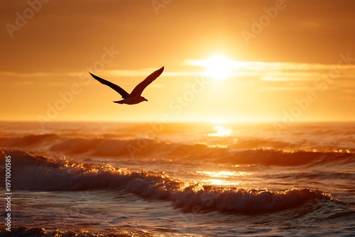 seagulls on the beach at sunset