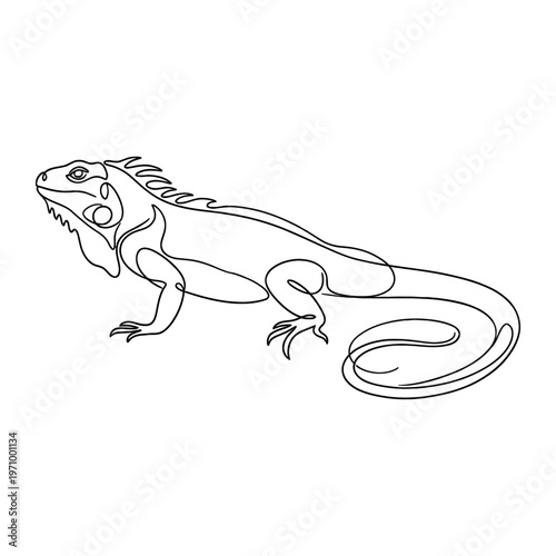 Simple continuous line drawing of a iguana