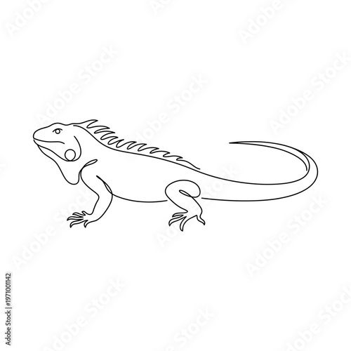 Simple continuous line drawing of a iguana