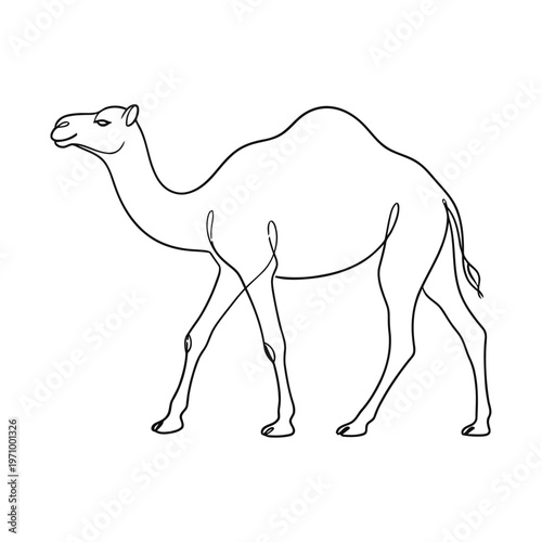 Minimal continuous line illustration of a camel