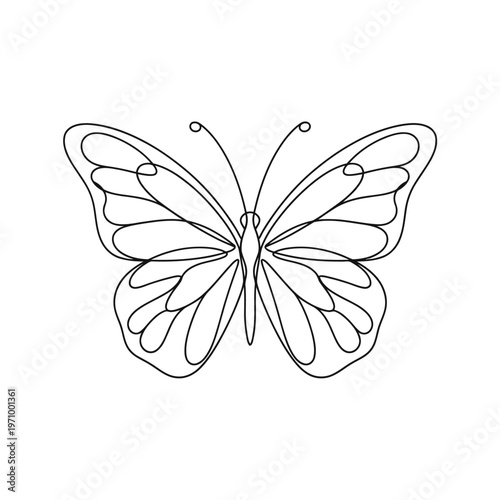 Minimal continuous line illustration of a butterfly