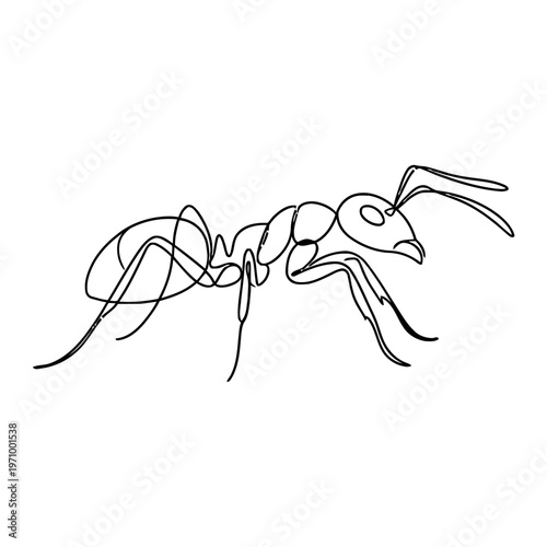 Simple continuous line art drawing of a ant