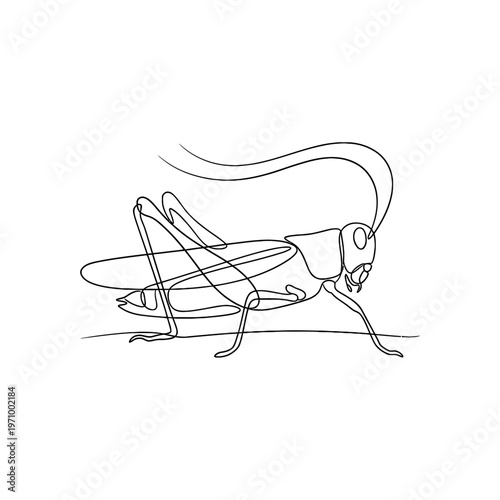 Simple continuous line art drawing of a grashopper