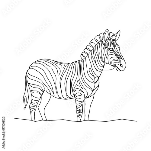 Minimal continuous line art illustration of a zebra