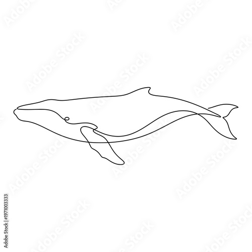 Minimal continuous line art illustration of a whale