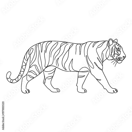 Minimal continuous line art illustration of a tiger