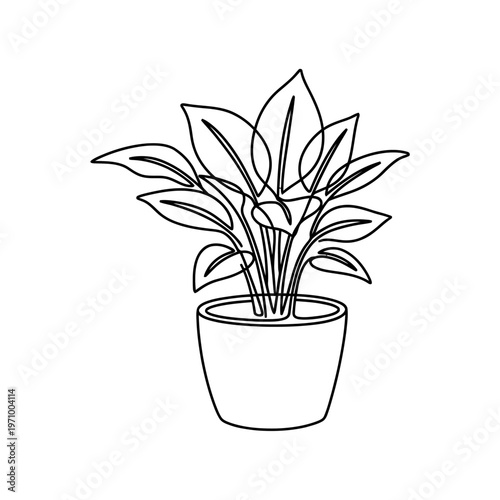 Minimal continuous line art illustration of a flower vase