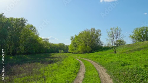 Walking through forest path, beautiful spring landscape with its green grass and trees creates a stunning natural scene
