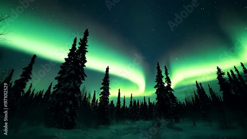 Northern Lights Illuminate Snowy Forest Landscape