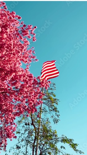 american flag on the wind