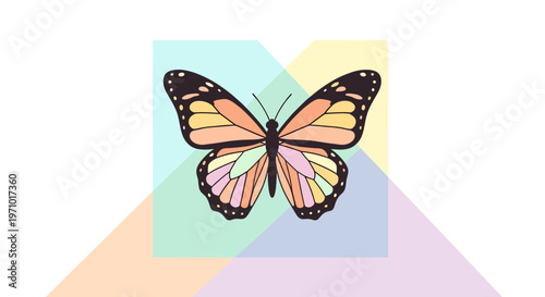 A minimalist background with geometric shapes in a peach color on a white background, conveying simplicity and modernity.