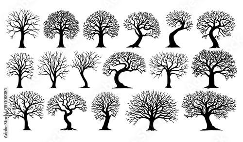 Bare tree silhouette collection with twisted trunks and dramatic branches in artistic vector style