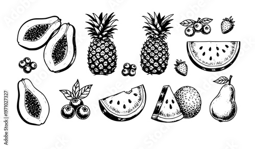 Minimal tropical fruit sketch icons vintage ink brush papaya pineapple strawberry vector isolated on white background