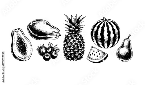 Tropical fruit sketch set papaya pineapple watermelon strawberry vintage ink brush vector isolated on white background