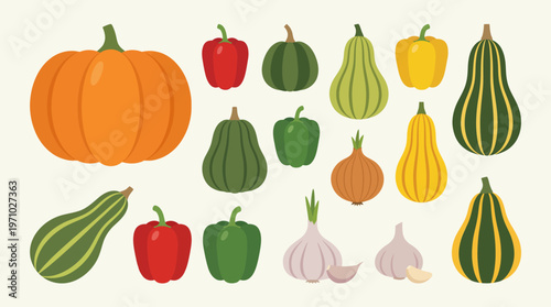 Variety of colorful squash and gourds.