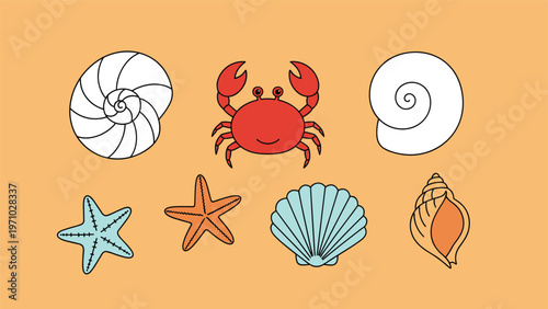 Set of ocean treasures including various sea shells, colorful starfish, and a small friendly red crab on an orange background.